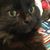 Deborah Servey's profile image
