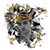 Gilberto Sborea's profile image