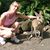 Kristen Allen Ball's profile image
