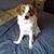 Dolly Crawford's profile image
