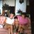 Charlene Cohrs's profile image