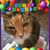 Vicki Anderson's profile image