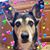 Stephanie Hopkins's profile image