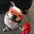 Kelly Heron's profile image