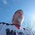 Jeff Landwehr's profile image
