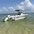 Carolyn Drago Teal's profile image