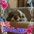 Gary Walter's profile image