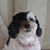 Carol Twilling's profile image