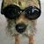 Michael Stoller's profile image