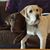 Laura Olson's profile image