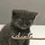 Daven Brigham's profile image