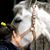 Debra Offutt's profile image
