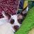 Amy Kettleson's profile image
