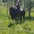 Joann Zieroth's profile image