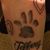 Sandi Dorow's profile image
