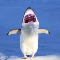 Jennifer Hertenstein's profile image