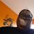 Wayne Trevor's profile image