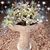 Linda Reimer's profile image