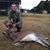 Blake Mooring's profile image