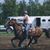 Holly Vanderport's profile image
