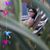 Judy Nagai's profile image