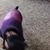 Hudnell Pamela's profile image