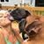Traci Romine Lorenz's profile image