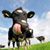 Donna Hansen's profile image