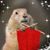 Cindi Striegel's profile image