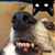Pam Page's profile image