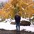 Lisa Montelaro Dalfrey's profile image