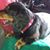 Susan McMyler Lumpkin's profile image