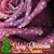 Ninfa Vivanco's profile image