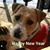 Annette L Weich's profile image