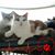 Donna Smith's profile image