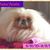 Bettyjean Fernandez's profile image