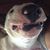 Dewey Boyden Skeeters's profile image