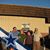 Tammy Schenk Baum's profile image