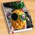 Shelley Clarke's profile image