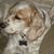 Bob Butler's profile image