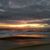 Yolanda Daniels's profile image