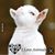Clara Busta's profile image