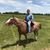 Victor M. Ulloa's profile image