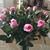 Ines Gutierrez's profile image