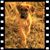 Mike Beringo's profile image