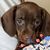 Howard Harshaw's profile image