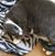Frank Ashbridge's profile image