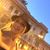 Cary Sanchez-geigel's profile image
