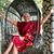 Karen Banfield's profile image