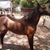 Beto Eddy De la Cruz's profile image